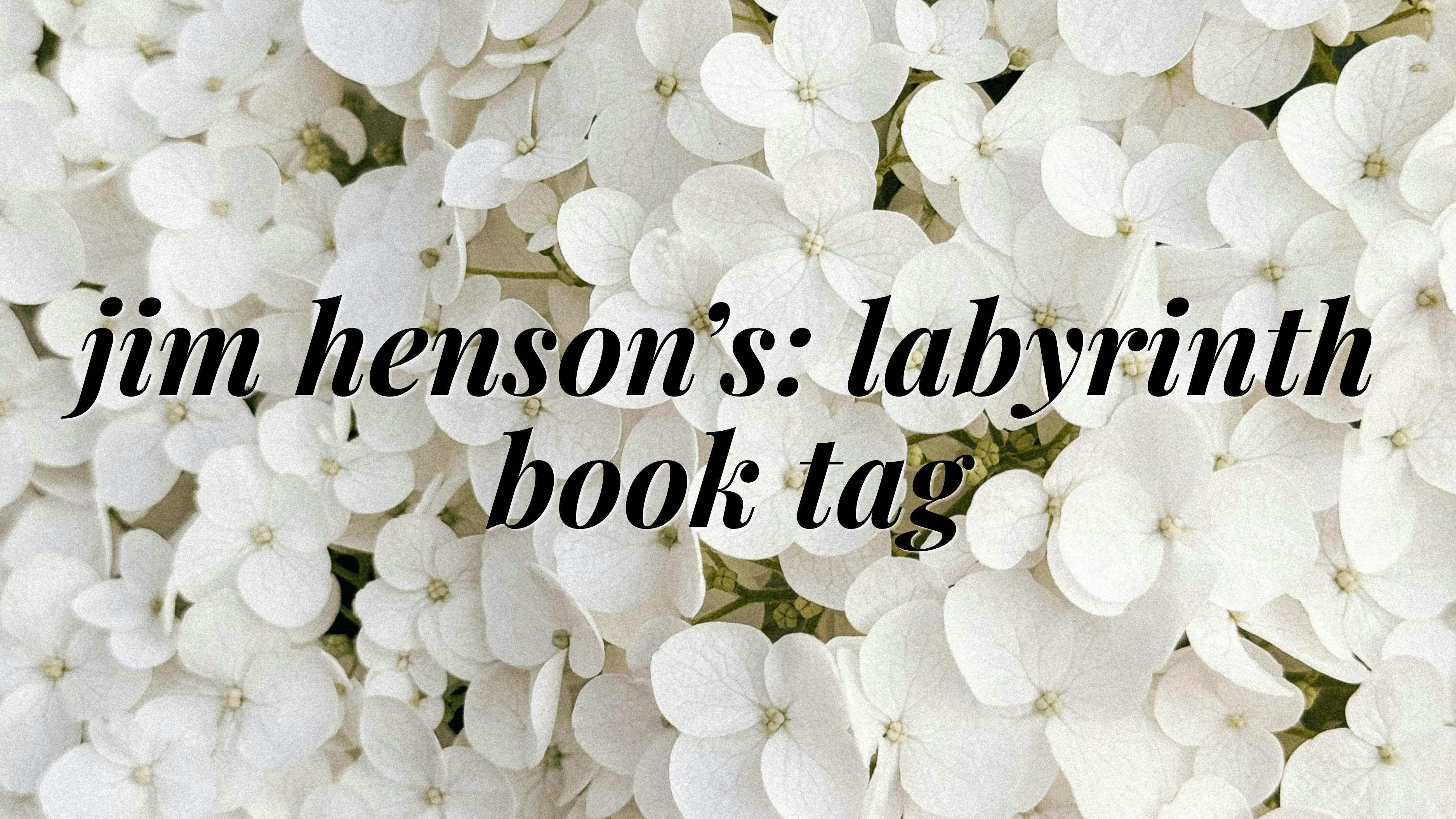 𝐉𝐢𝐦 𝐇𝐞𝐧𝐬𝐨𝐧’𝐬: 𝐋𝐚𝐛𝐲𝐫𝐢𝐧𝐭𝐡 Book Tag
